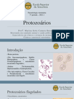 Protozoarios