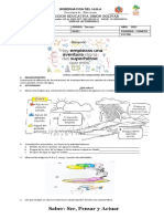 Ciencias Naturales Grado Tercero 4P