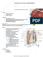 6regiones Topograficas Del Miembro Superior