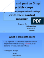 Vegetable Disease Power Point