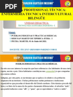 Tema N°07 Tecnologia Sanitaria Indigena-I.