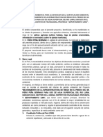 Informe de Gestion Ambiental Piero Peña Serrano