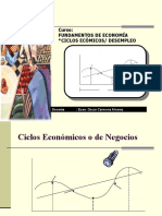 Ciclos Economicos