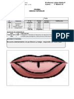PRUEBA CIENCIAS NATURALES 1° Los Sentidos