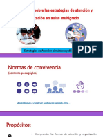 Orientaciones Sobre Estrategias de Organizacion en Aulas Multigrado