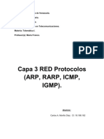 Capa 3 Red Protocolos (Arp, Rarp, Icmp, Igmp)