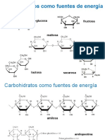 Presentacion de Gicloisis y Regulacion de La Glucosa