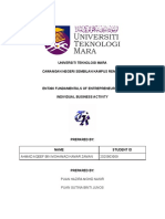 Ent300 Individual Assignment