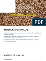 Beneficiado de Semillas