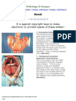 Renal - Goljan Slides