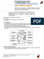 Sistema Circulatorio - Práctica