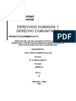 Pa 01 Derechos Humanos