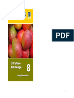 2005, El Cultivo Del Mango, G