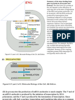 64212-08 RNA Splicing