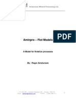 A Model For Flotation Processes, AMINPRO, August 2007