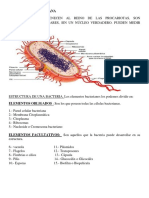 Componentes Celula Bacteriana