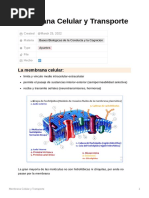 Membrana Celular y Transporte