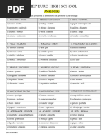 Actividades - Analogías