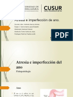 E2 - Atresia e Imperfección Del Ano