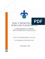 Peso y Medición de Oligoquetos