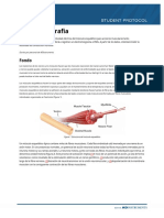 STUDENT PROTOCOL EMG - En.es