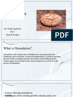 Geo Term-2 Denudation 1