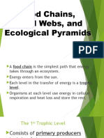 Food Chains, Food Web, Ecological Pyramid