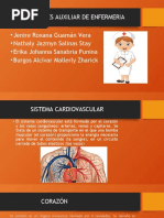 Sistema Cardiovascular