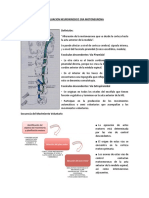 Lectura Previa 1era y 2da MTN