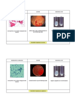 Ospe - Microbiology