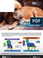 Articulo Terapia de Fluidos - Liq - Corporales