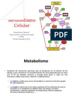 Unidad 7, Introduccion Metabolismo Celular