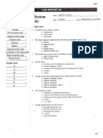 Lab Report 30 Lymphatic System