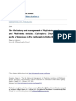 The Life History and Management of Phyllotreta Cruciferae and Phyllotreta Striolata