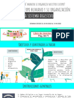 Sistema Digestivo Semana Desde El 03-06-2022 Al 10-06-2022