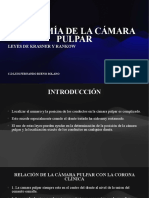 Leyes de Camara Pulpar