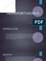 Fajas Transportadoras