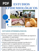 13 Estudios Epidemiologicos UCS