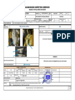 TDS Link Ears and Pins MPI