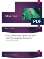 Rabies Virus