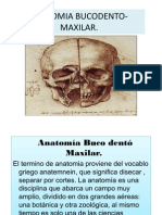 Anatomia Bucodentomaxilar