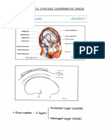 Dural Venous Sinus Azam Sir