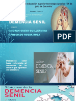 Demencia Senil en Adulto Mayor