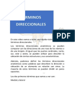 Terminos Direccionales