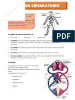 El Sistema Circulatorio
