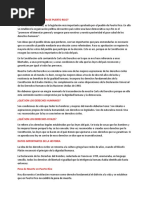 Qué Es La Constitución de Puerto Rico