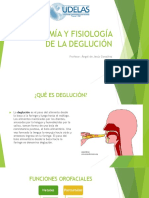 Anatomía y Fisiología de La Deglución