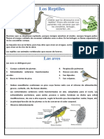 Material Miércoles 22 de Junio