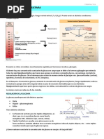 Regulación de La Glicemia