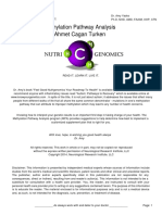 A. Methylation Pathway Analysis MPA-OMI-15746